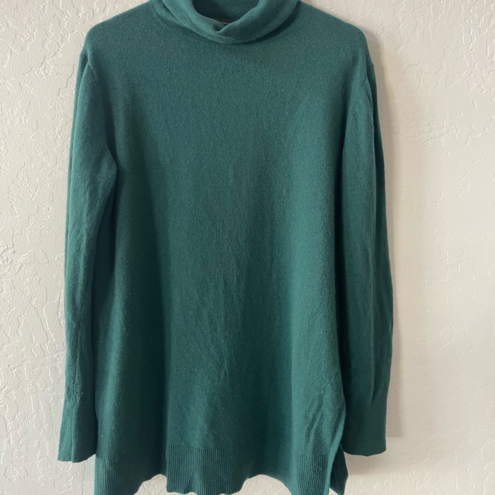Green Ann Taylor Turtleneck Sweater
